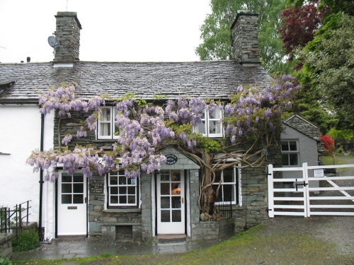 Wistaria Cottage